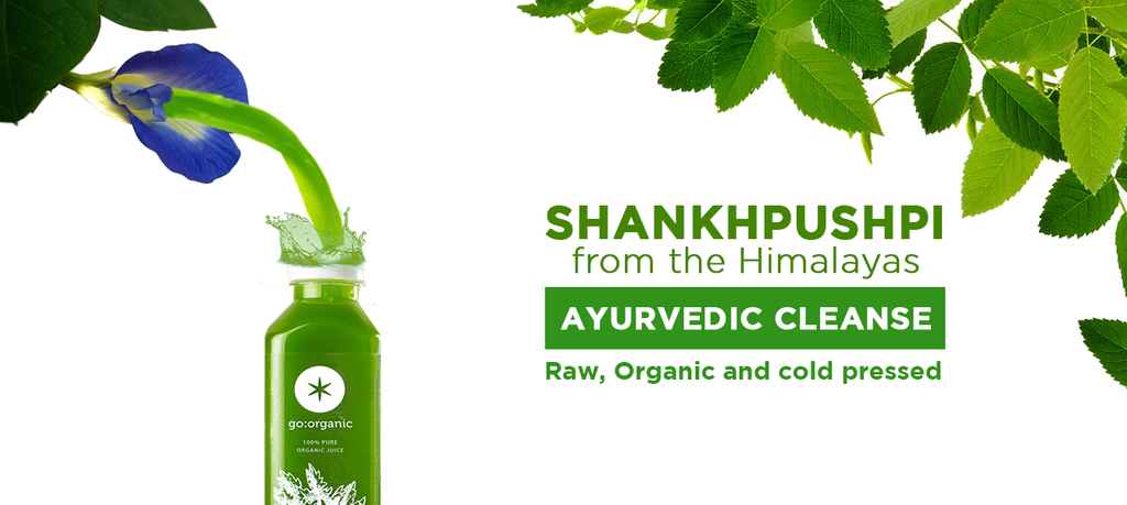 The Essence Of Ayurveda