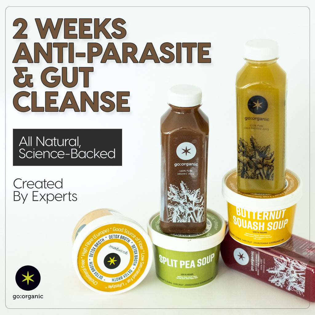 Clinical Gut Restore Protocol & Microbiome Reset.